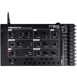 Moog Werkstatt analog synthesizer kit