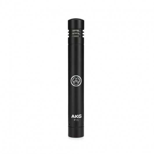 AKG P170 Enstrüman Mikrofonu