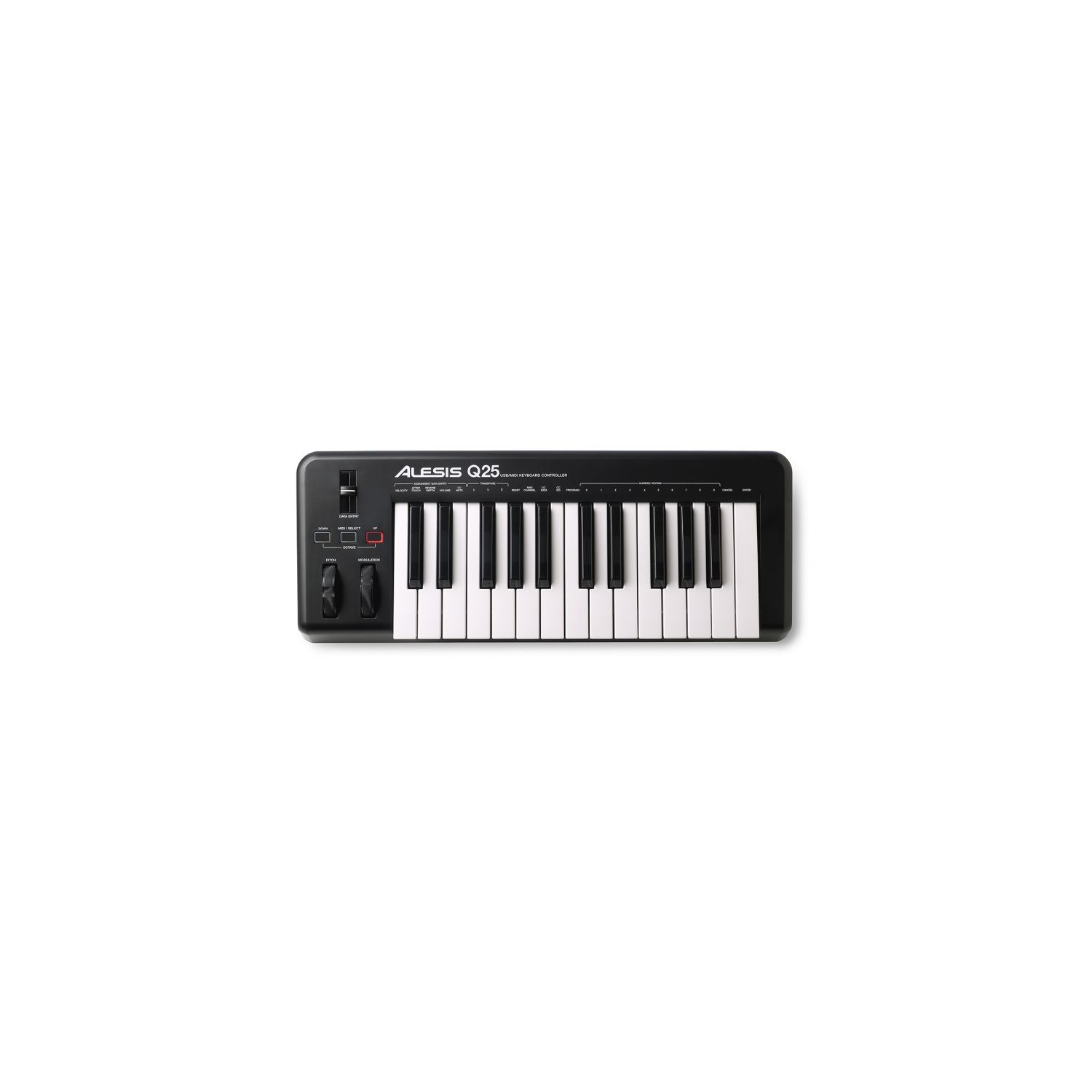 Alesis Q25 Midi Klavye