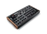 Novation Peak Polifonik Desktop Synthesizer