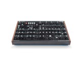 Novation Peak Polifonik Desktop Synthesizer