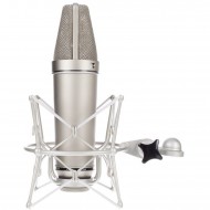 Neumann U 87 Ai Çift Stereo Set