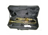 Marsyas TR-200 Trumpet BB sarı, kutulu