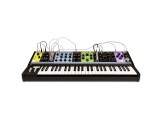 Moog Matriarch Analog Synthesizer