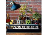 Moog Grandmother Analog Synthesizer