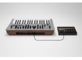 Korg Minilogue Ployphonic Analog Synthesizer