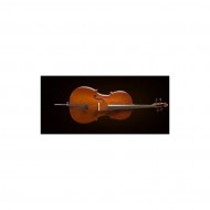 Valencia CE160G44 Tam Boy Cello