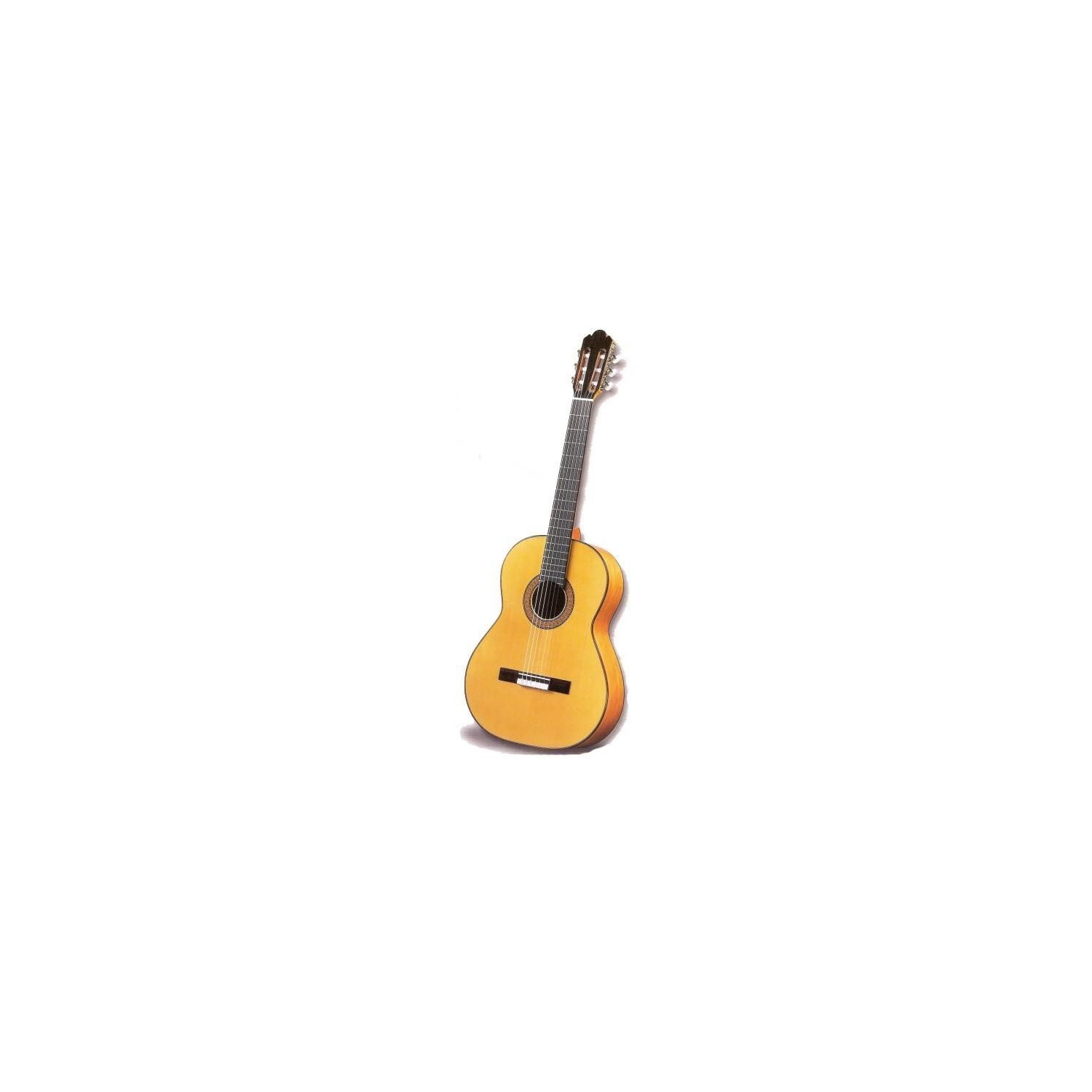 Antonio Sanchez Flamenko 1027 Klasik Gitar