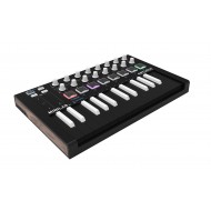 ARTURIA MiniLab MK II Inverted Edition Software Synth + 25 tuş Hardware Controller MK II - Ters Renk