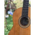 Valencia VC204 Naturel Klasik Gitar