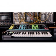 Moog Grandmother Analog Synthesizer