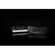 Korg MINILOGUE XD-M Analog Synthesizer Module