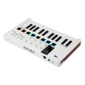 Arturia MiniLab 3 Midi Kontroller 25 Tuş